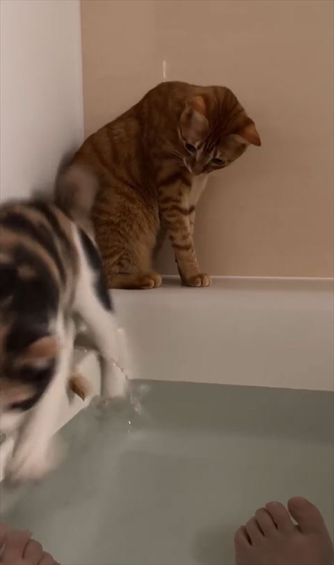 湯舟に落ちる瞬間