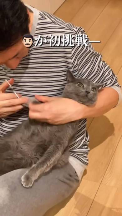 猫の爪を切るパパ
