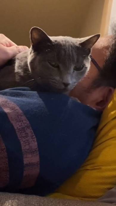 猫の爪を切るパパ