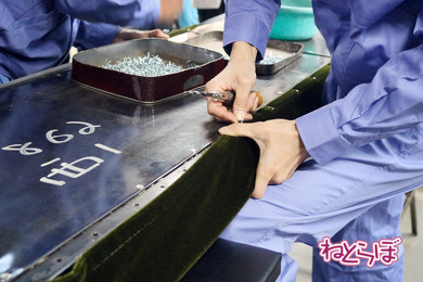 生地をピンと伸ばしながら、吊りマウントで固定する。すべりを良くするために、手を濡らして作業するのだそうです