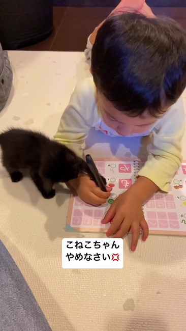 ペンにじゃれる2