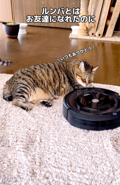 掃除機嫌いなパンちゃん