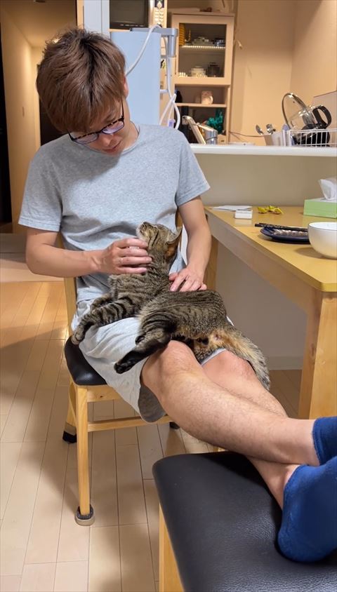パパさんのヒザの上猫