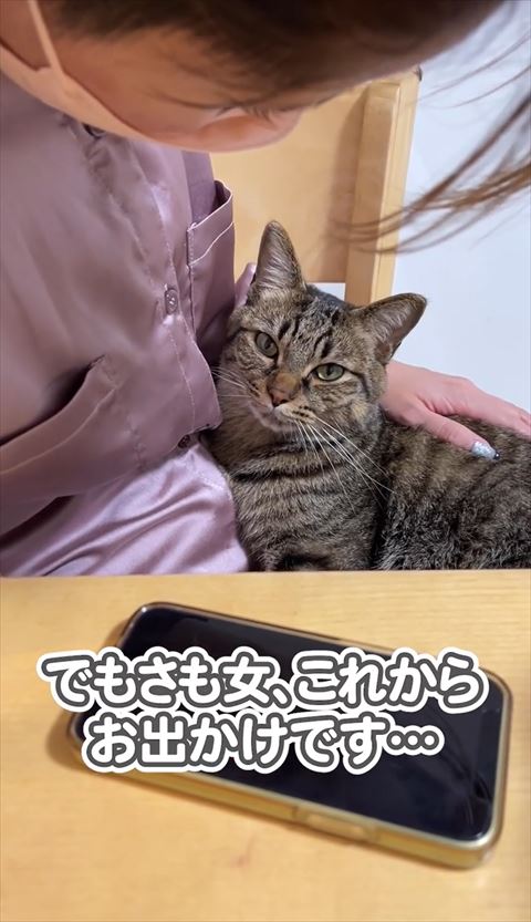 膝の上からカメラ目線