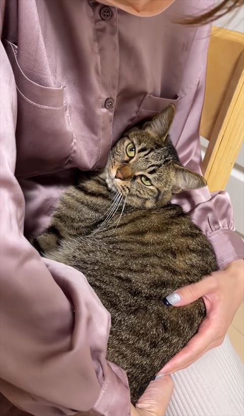 移動させようとするママさん