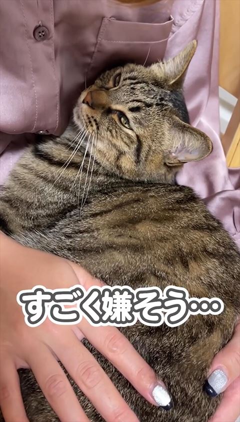 すごく嫌そうテロップ