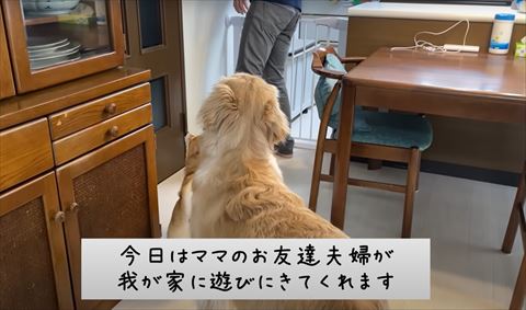 遊びに来てくれますテロップ