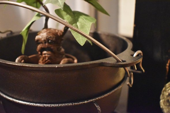 ちょっぴり不気味なマンドレイク（マンドラゴラ）の画像