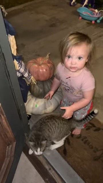 のらねこと女の子