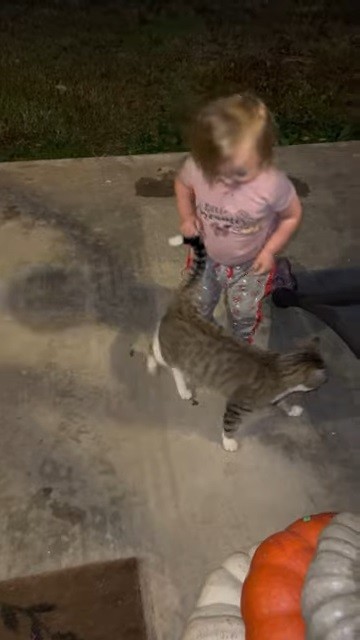 のらねこと女の子