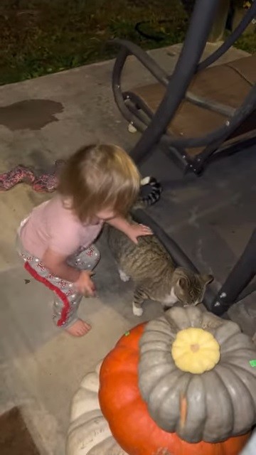 のらねこと女の子