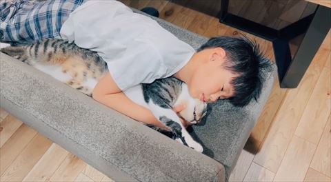 猫をハグする息子