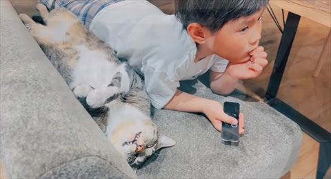 歯だして寝てる猫とうつぶせ息子