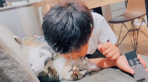猫の顔にキスする息子