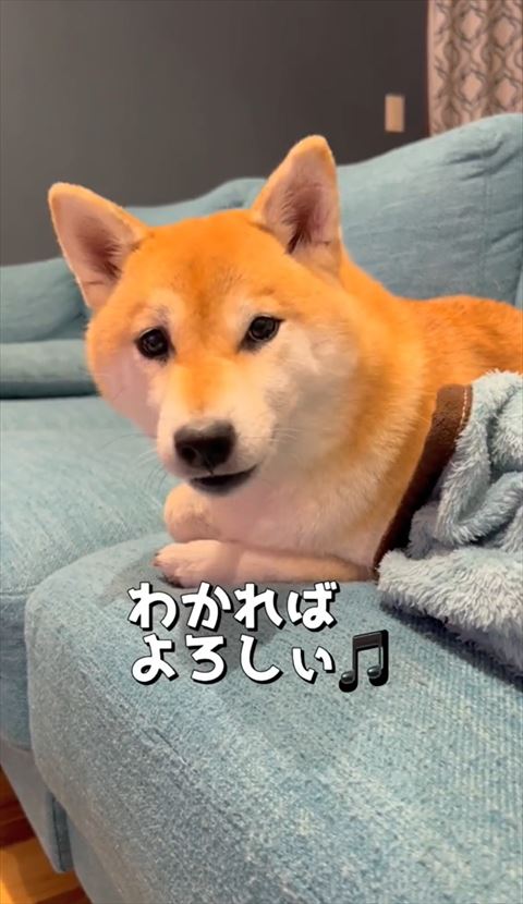 わかればよろしいテロップ
