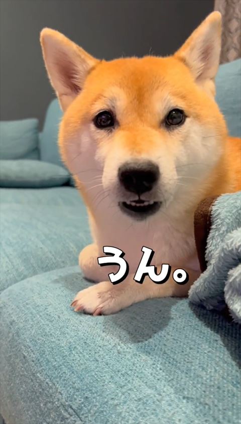 うんテロップ