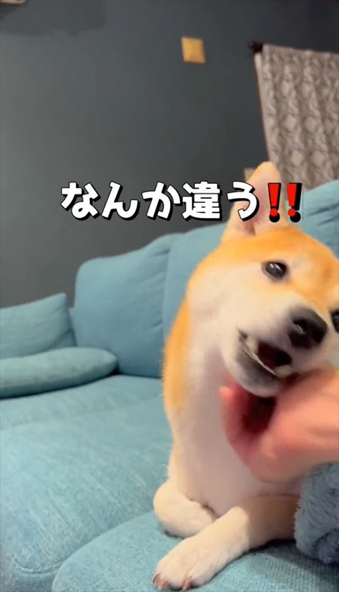 なんか違うテロップ