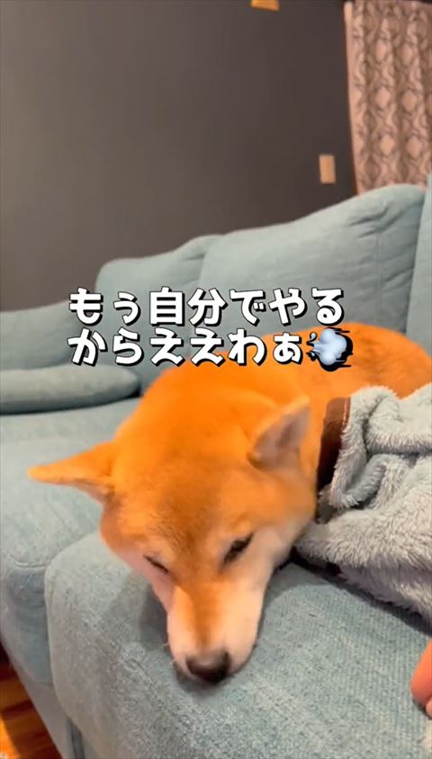 自分でやるからテロップ