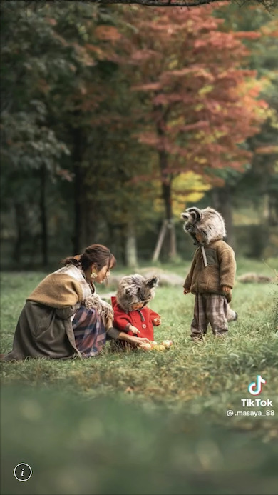 りんご集めをする写真