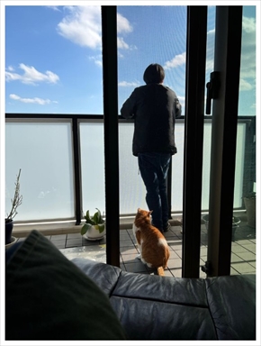 松居直美の息子と愛猫