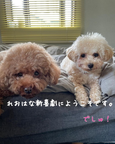 レオくんとハナちゃん