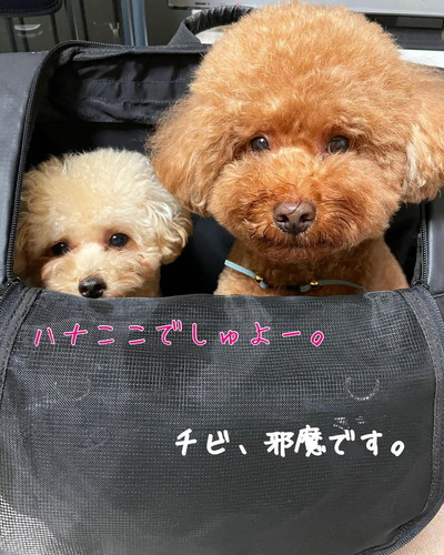 レオくんとハナちゃん