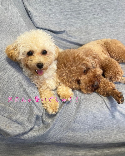 レオくんとハナちゃん