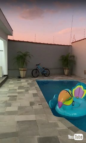 リラックスする鳥さん