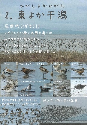 同人誌『九州北部 鳥見旅行記 -春のシギ・チドリ・カササギ観察-』