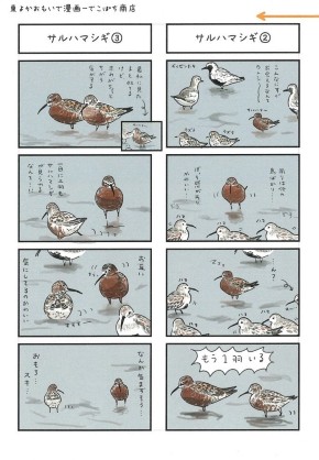 同人誌『九州北部 鳥見旅行記 -春のシギ・チドリ・カササギ観察-』