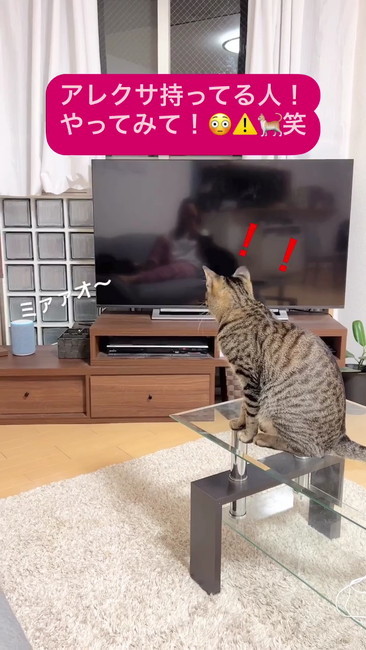 アレクサから鳴き声