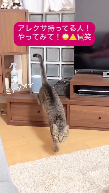 ママへ駆け寄る