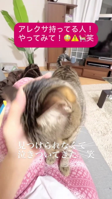 泣きついてきた