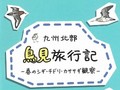 シギチってどんな鳥？　“野鳥天国”を旅する同人誌『九州北部 鳥見旅行記』