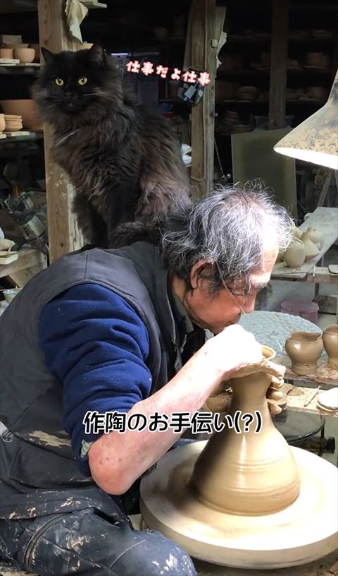 おじいちゃんの肩の上