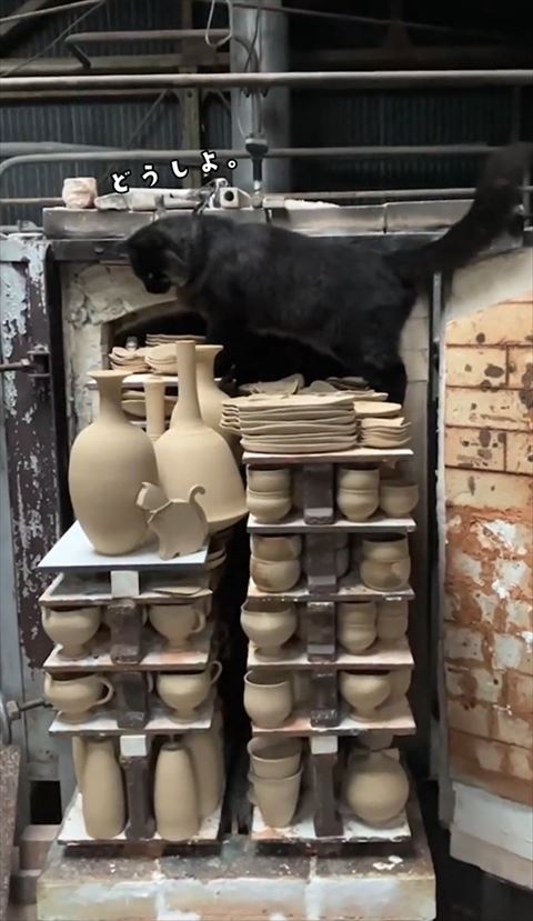 どうしよテロップ