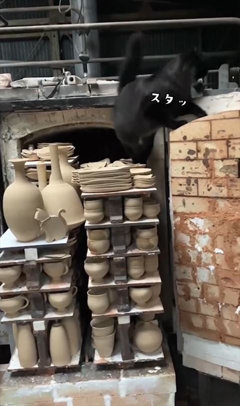 スタッテロップ