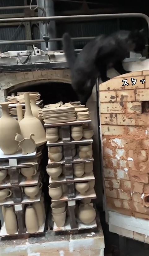 レンガの上に登りこむ