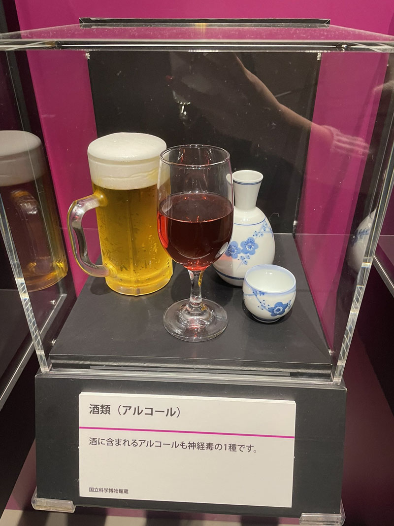 “酒も神経毒の一種”　国立科学博物館特別展「毒」の身もフタもない説明に「えっそんな」「この毒がないと……」ネットざわつく