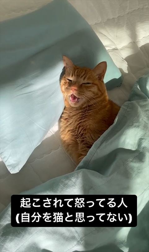 目をつぶってお返事