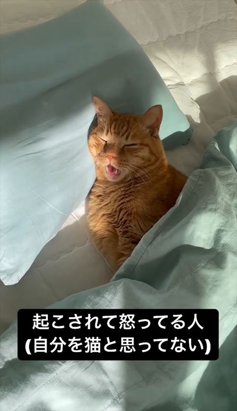 だるそうにお返事