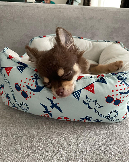 ベッドからちょっと出てるとらくん