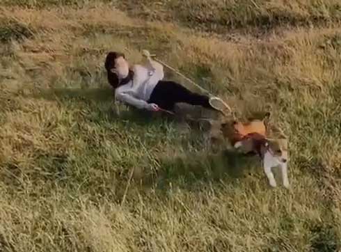 滑り落ちる飼い主と犬たち