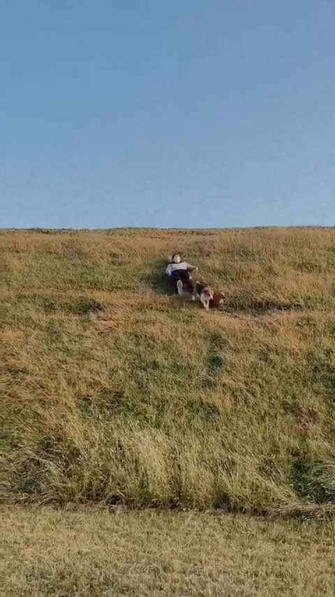 滑るお姉さんと犬たち