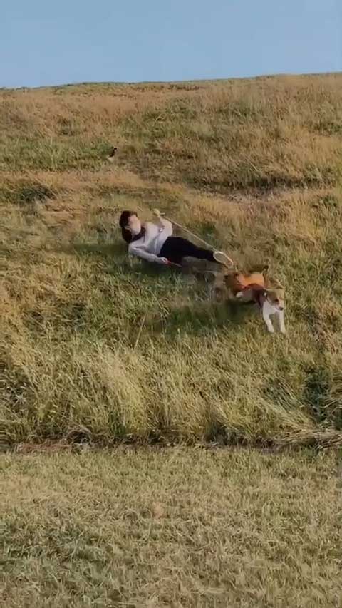 絶対にリードを離さない飼い主