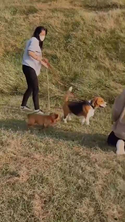 無傷だったお姉さん