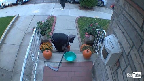 「Kid Refills Halloween Candy Bowl From His Own Bag || ViralHog」