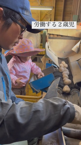 パパのお手伝い