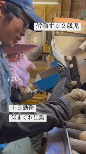 パパのお手伝い