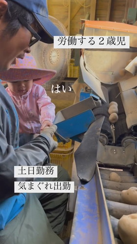 パパのお手伝い